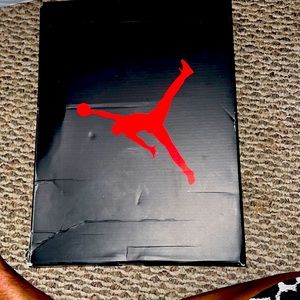 Air Jordan 6 Retro worn twice